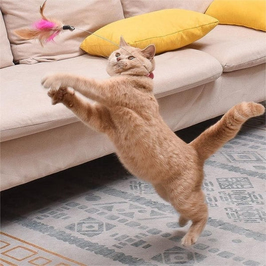 🔥Free hands collar cat teaser stick😻